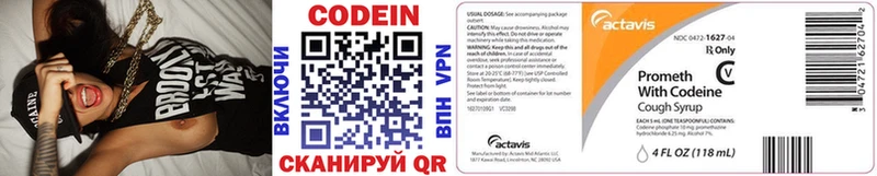 продажа наркотиков  Николаевск  Codein Purple Drank 