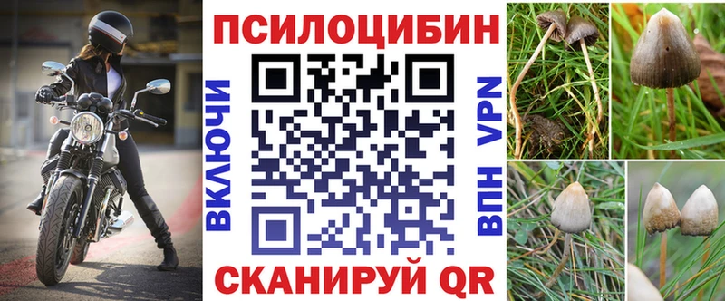 Псилоцибиновые грибы Psilocybe Николаевск